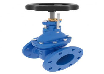150lb đến 1500lb áp suất lớp Bolted Bonnet Steel Gate Valves