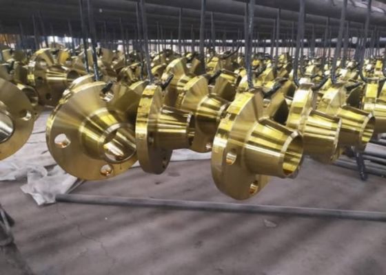 Slip On Welding Steel Pipe Flanges cho các kết nối nắp nắp NBR / Viton