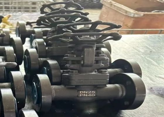 1/2 Inch Steel Valves With Bolted Bonnet Body Style And ODM Customized Support (Ventil thép 1/2 inch với thân xe nắp và hỗ trợ tùy chỉnh ODM)