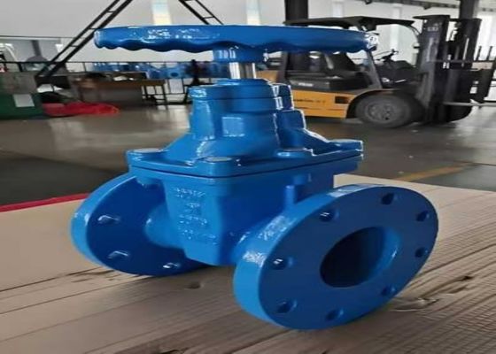 1/2 Inch Bolted Bonnet Steel Valves for Gate Valve Port Size DN10-DN50 và lớp 150lb-1500lb