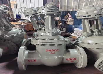 150lb-1500lb van cửa thép với nắp nút