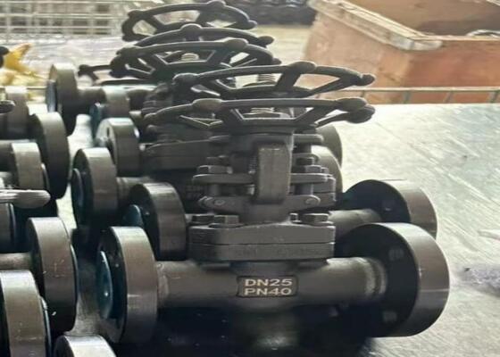 Van thép tay quay có nắp đậy bu lông DN10-DN50 150lb-1500lb Chống ăn mòn cao